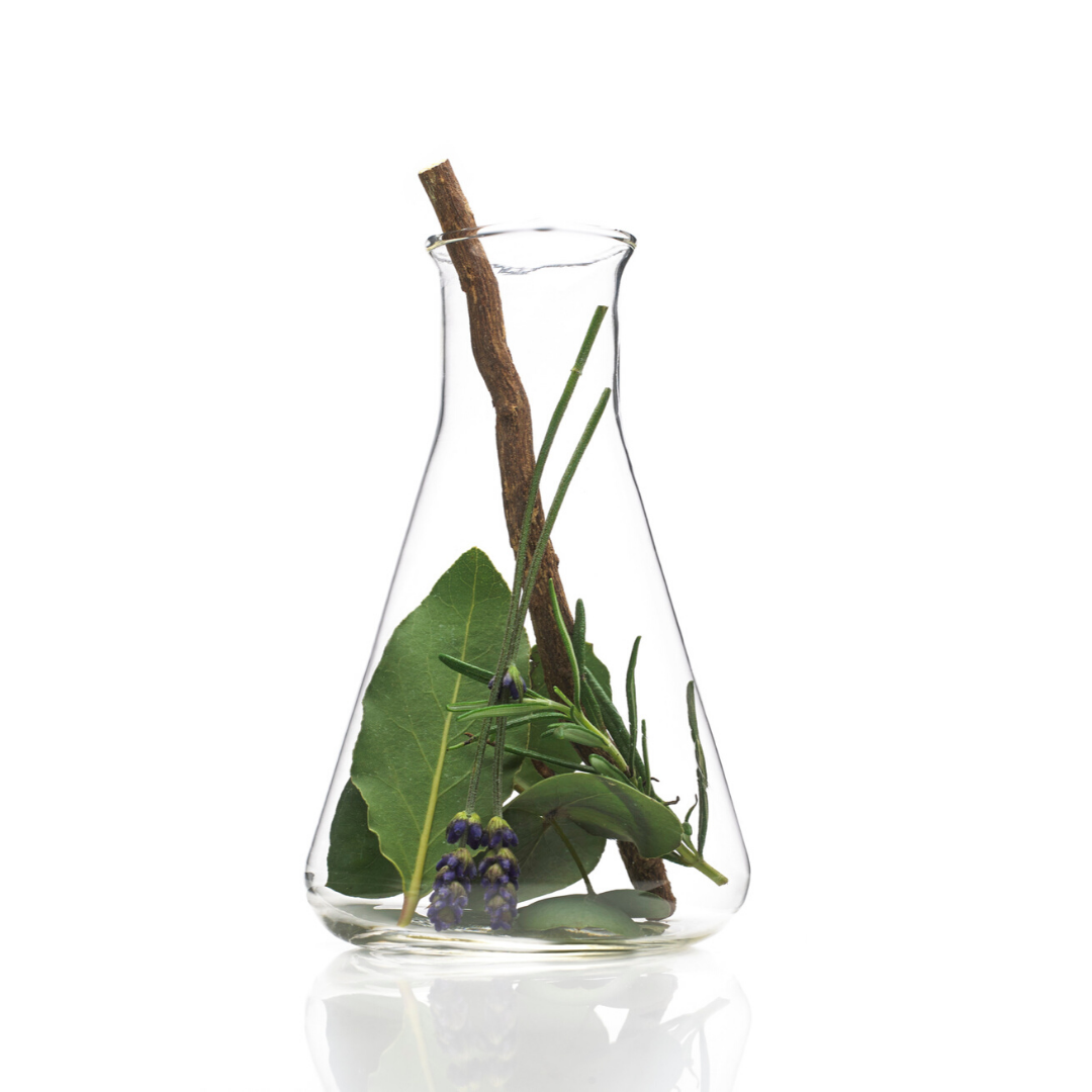 Plants As Medicine
