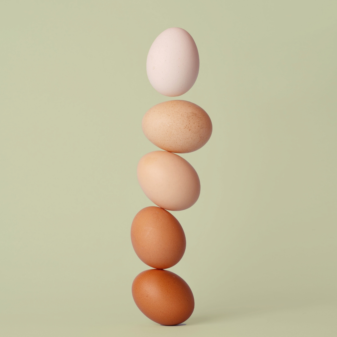 Homeostasis & Hemp: Finding Balance